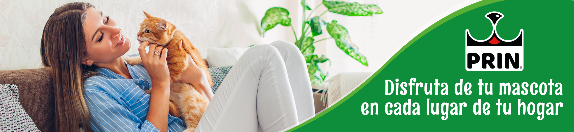 banner-categoría-encapsulador