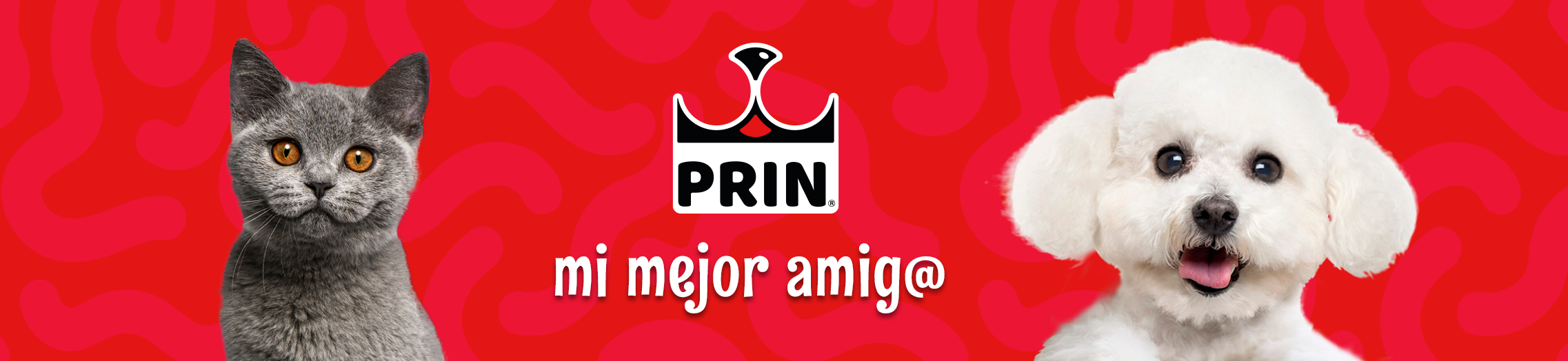 banner-contacto