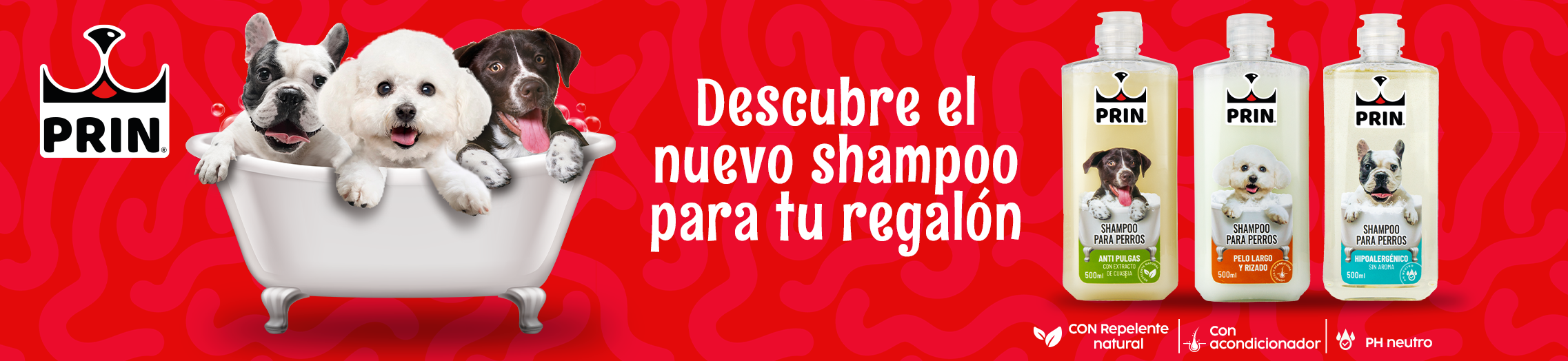 banner-principal-home