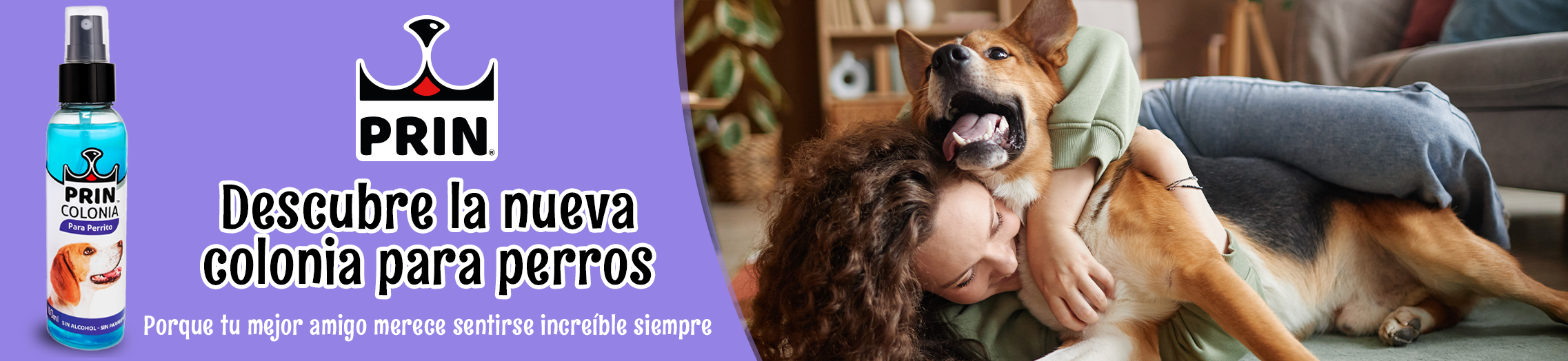 banner-categoría-colonias (1)